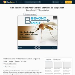 Hire Professional Pest Control Services in Singapore