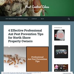 4 Effective Professional Ant Pest Prevention Tips for North Shore Property Owners