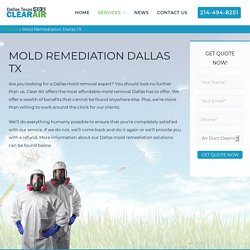 Professional and Affordable Mold Remediation Dallas TX Services