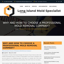 Why and How to Choose a Professional Mold Removal Company?