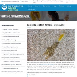Professional Spot Stain Removal Melbourne - Carpet Stain Removal