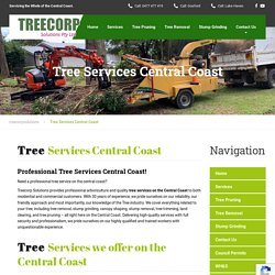 Need a Professional Tree Service on the Central Coast