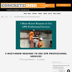 5 Must-Know Reasons to Use GPR Professional Services - Concrete Insight LLC