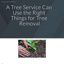 Professional Tree Service