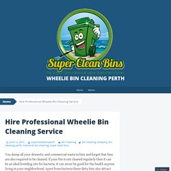 Hire Professional Wheelie Bin Cleaning Service