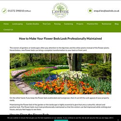 How to Make Your Flower Beds Look Professionally Maintained