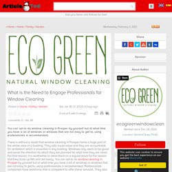 What is the Need to Engage Professionals for Window Cleaning