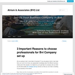 3 Important Reasons to choose professionals for Bvi Company set up