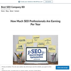 How Much SEO Professionals Are Earning Per Year – Best SEO Company BD