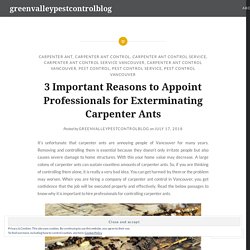 3 Important Reasons to Appoint Professionals for Exterminating Carpenter Ants