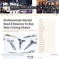 Professionals Should Read 8 Reasons To Buy Hair Cutting Shears