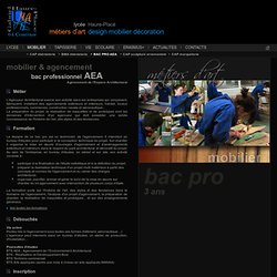 Bac Professionnel AEA - Formation Agencement de l’Espace Architectural - Agenceur