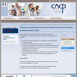 Certificat de qualification professionnelle créé par les branches professionnelles (CQP)