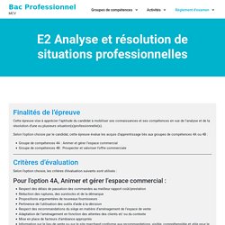 E2 Analyse et résolution de situations professionnelles – Bac Professionnel