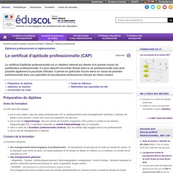 Diplômes professionnels - Le certificat d'aptitude professionnelle (CAP)