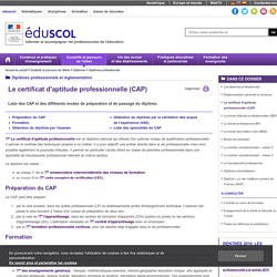 Diplômes professionnels - Le certificat d'aptitude professionnelle (CAP)