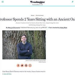 Professor Spends 2 Years Sitting with an Ancient Oak