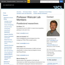 Professor Walczak Lab Members