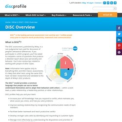 DiSC Profile - What is DiSC®? The DiSC personality profile explained