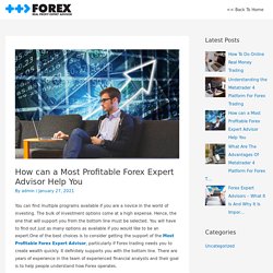Most Profitable Forex Expert Advisor – Forex Real Profit
