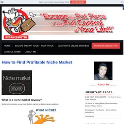 How to Find Profitable Niche Market - Rat Race Buster