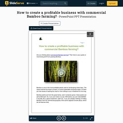 How to create a profitable business with commercial Bamboo farming?