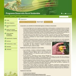 Programa Desarrollo Rural Sostenible