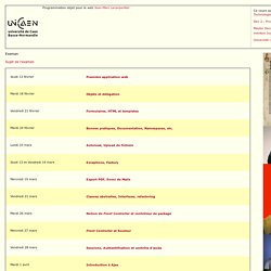 Université de Caen. Master Document -Parcours Ingénierie del'Internet - Cours - Programmation objet pour le web - Jean-Marc Lecarpentier