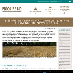 « Blés Paysans », bilan du programme de recherche-expérimentation en Pays de la Loire