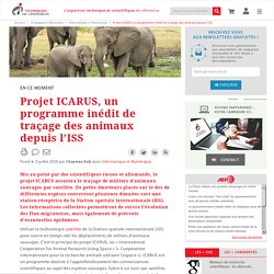 Projet ICARUS, un programme inédit de traçage des animaux depuis l'ISS