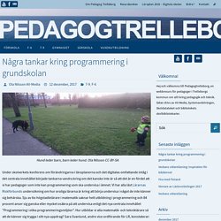 Några tankar kring programmering i grundskolan – Pedagog Trelleborg