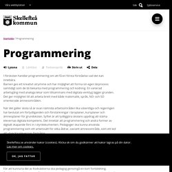 Programmering - Skellefteå kommun