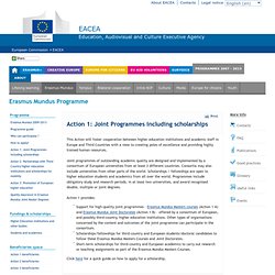 Action 1: Joint Programmes including scholaships