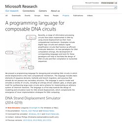 A Programming Language for DNA Computing