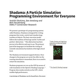 Shadama: A Particle Simulation Programming Environment for Everyone