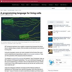 A programming language for living cells