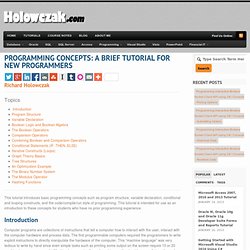 Programming Concepts: A Brief Tutorial for New Programmers