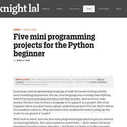 Five mini programming projects for the Python beginner