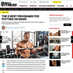The 5 Best Programs for Putting on Mass
