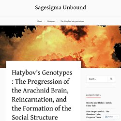 Hatybov’s Genotypes : The Progression of the Arachnid Brain, Reincarnation, and the Formation of the Social Structure – Sagesigma Unbound