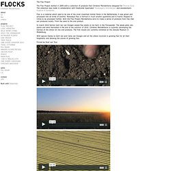 FLAX PROJECT : Christien Meindertsma