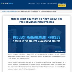 What Are Project Management Processes and Phases?