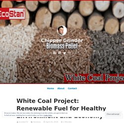 White Coal Project: Renewable Fuel for Healthy Environment and Economy