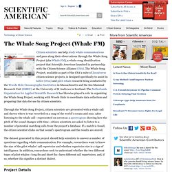 The Whale Song Project (Whale FM), Citizen Science