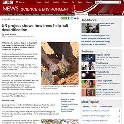 UN project shows how trees help halt desertification
