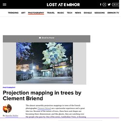 Projection mapping in trees by Clement Briend