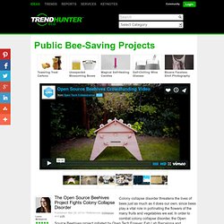 Open Source Beehives Fights Colony Collapse Disorder
