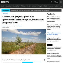 Carbon soil projects pivotal in government's net zero plan, but market progress 'slow'