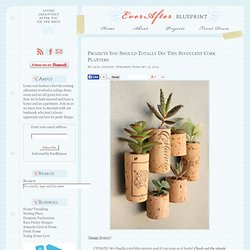 Projects You Should Totally Do: Tiny Succulent Cork Planters