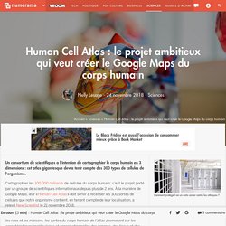 Human Cell Atlas : le projet ambitieux qui veut créer le Google Maps du corps humain